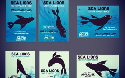 Campaign & Poster design for Mote Marine “Sealion Exhibit”